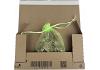 Live Locusts    Medium/Large LETTERBOX PACK (12 locusts)