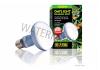 Exo Terra Daylight Basking Spot Lamp 100W