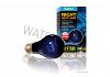 Exo Terra Night Heat Lamp  50W (ES)