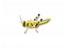 Live Locusts   Medium/large Prepack Tub (Reptile Livefood)