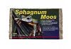 Lucky Reptile Sphagnum Moss (Block)